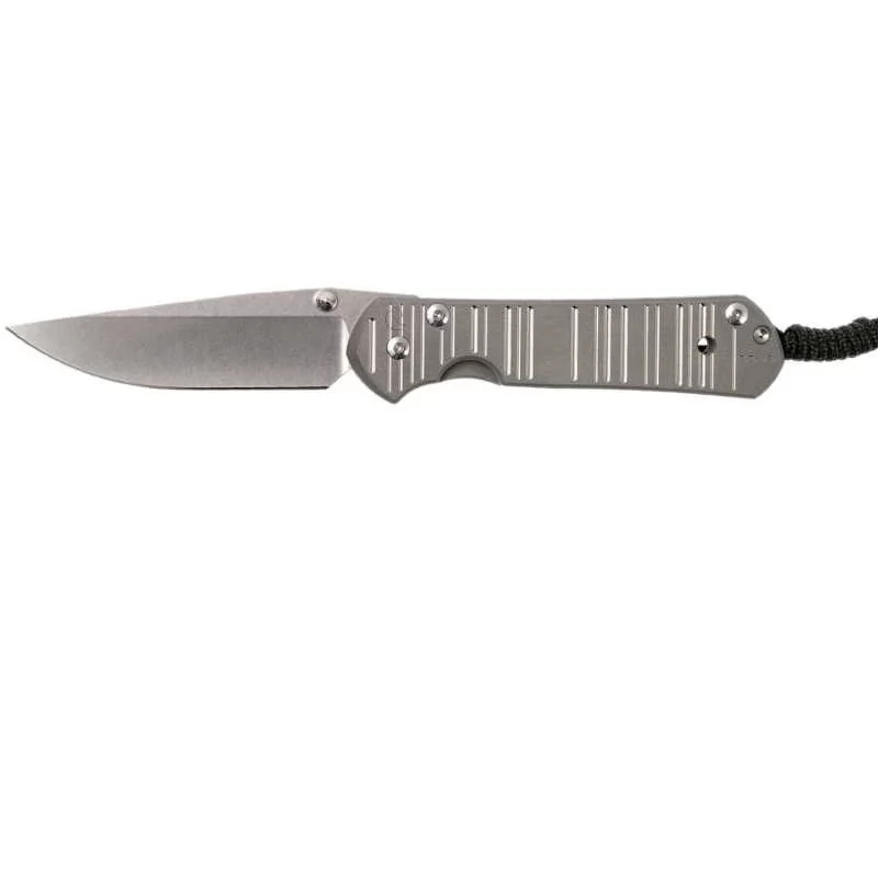 фото Складной нож chris reeve large sebenza 21 think twice, сталь s35vn, рукоять титановый сплав