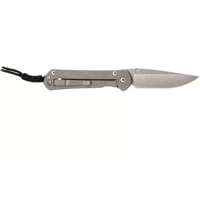 фото Складной нож chris reeve large sebenza 21 think twice, сталь s35vn, рукоять титановый сплав