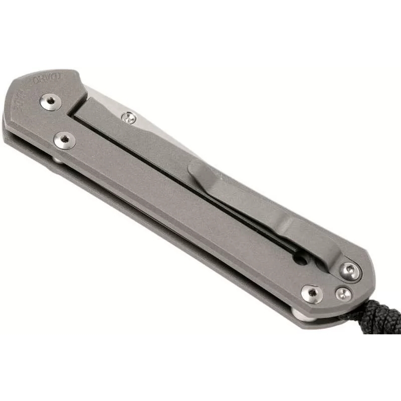 фото Складной нож chris reeve large sebenza 21 think twice, сталь s35vn, рукоять титановый сплав