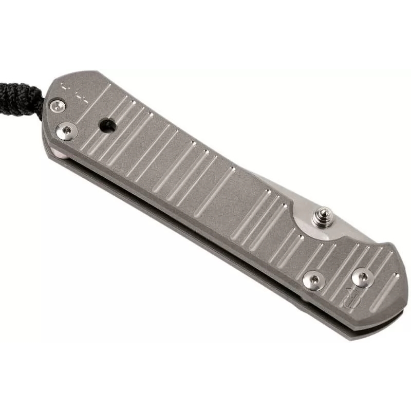 фото Складной нож chris reeve large sebenza 21 think twice, сталь s35vn, рукоять титановый сплав