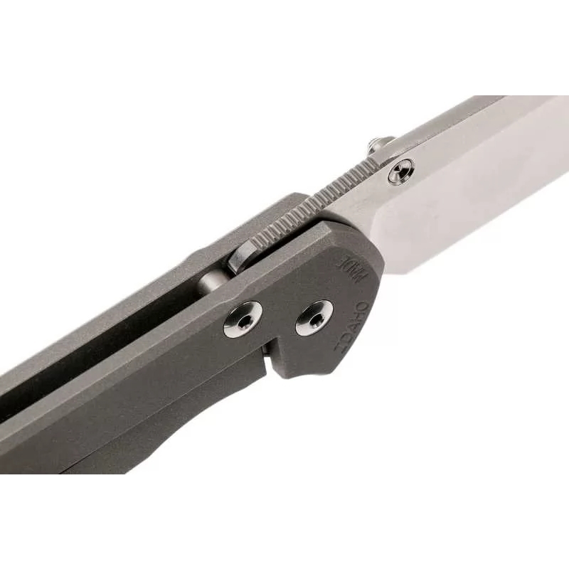 фото Складной нож chris reeve large sebenza 21 think twice, сталь s35vn, рукоять титановый сплав