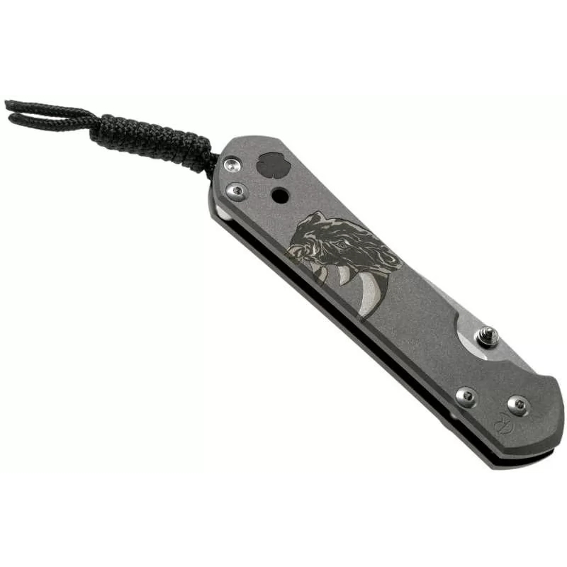 фото Складной нож chris reeve large sebenza 21, сталь s35vn, рукоять титановый сплав, гравировка rhino