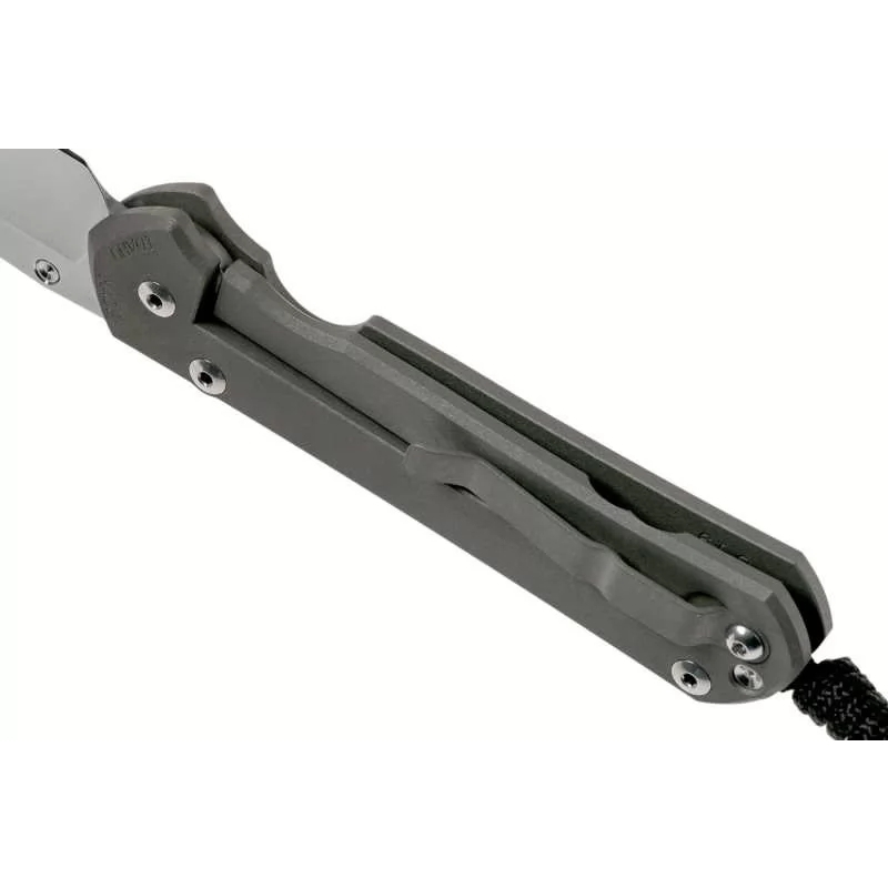 фото Складной нож chris reeve large sebenza 21, сталь s35vn, рукоять титановый сплав, гравировка rhino