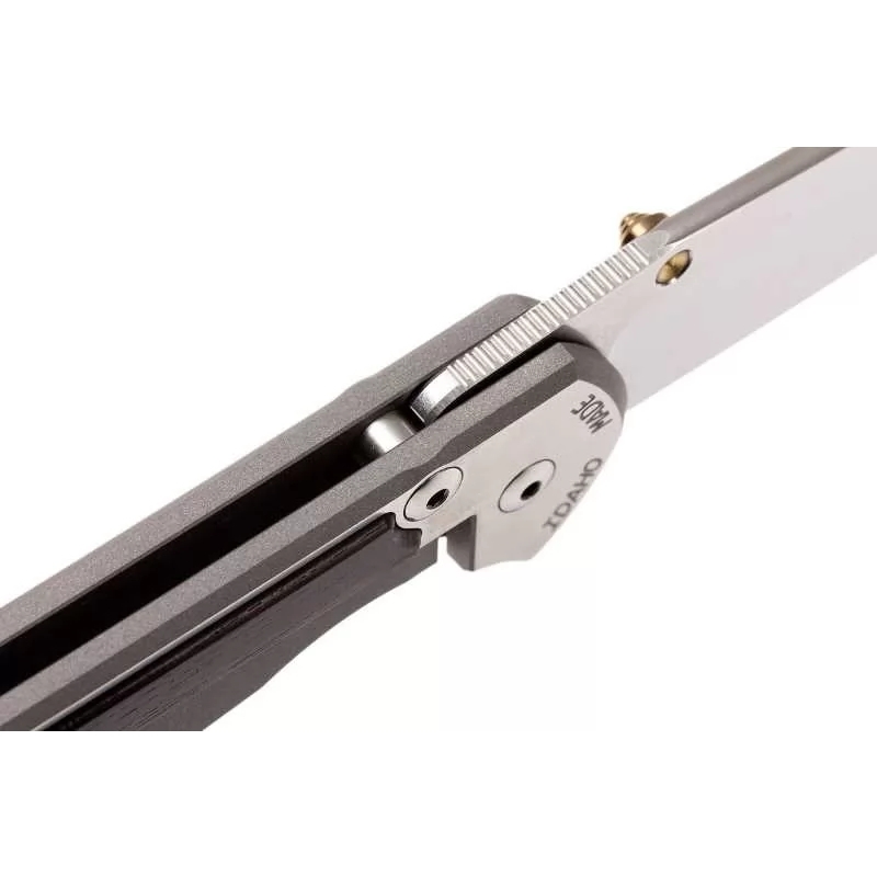 фото Складной нож chris reeve large sebenza 21, сталь s35vn, рукоять титановый сплав со вставкой из черного дерева