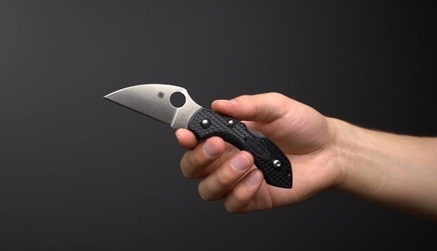 Складные ножи SPYDERCO 2023