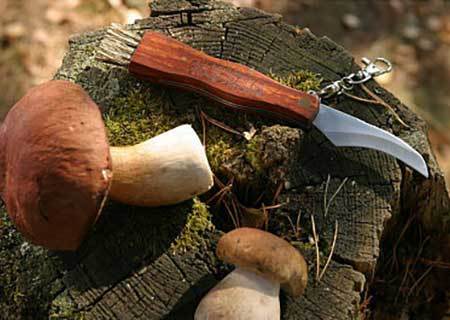 Как выбрать нож для похода за грибами?