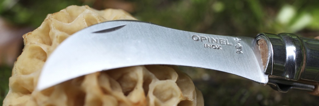 Нож грибника складной Opinel №8, нержавеющая сталь Sandvik 12C27, рукоять бук, картонная коробка от Ножиков