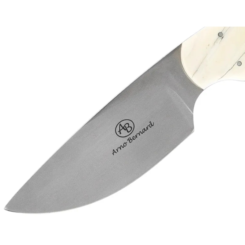 Нож с фиксированным клинком Arno Bernard Great White, сталь N690, рукоять клык бородавочника - фото 4