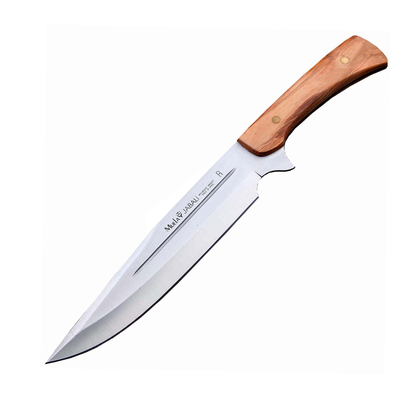 фото Нож с фиксированным клинком muela jabali, cталь x50crmov15, рукоять оливковое дерево