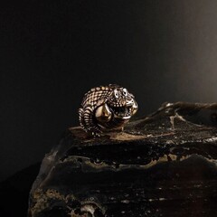 Фото Бусина Крокожаб, бронза