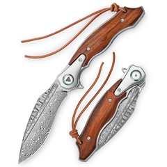 Фото Складной нож Trivisa Lepus-01, сталь Damascus, рукоять титан/айронвуд