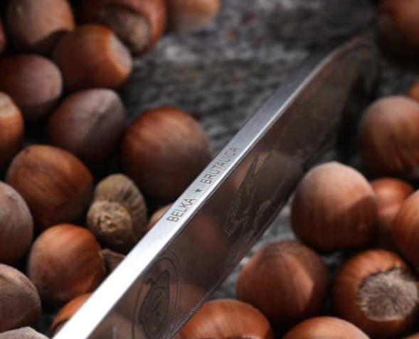 Нож Белка Fixed (Belka), сталь AUS-8 - фото 10