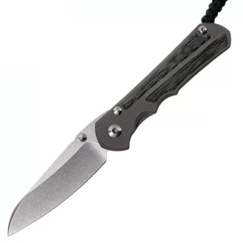 Складной нож Chris Reeve Large Inkosi Insingo, сталь S35VN, рукоять титановый сплав со вставкой из микарты