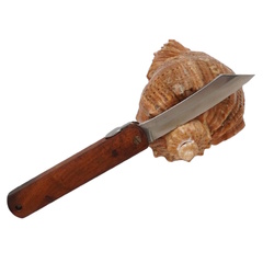 Фото Складной нож Nagao Higonokami Natural wood, 80мм, сталь VG10, рукоять Ironwood