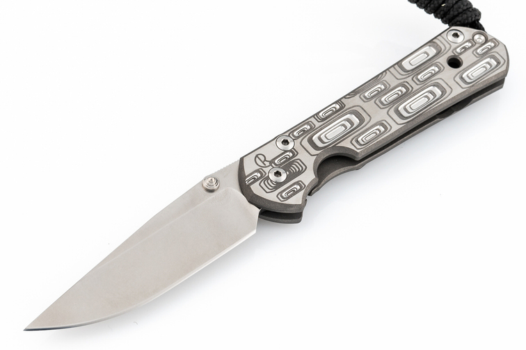 Нож складной Chris Reeve Large Sebenza 21, сталь CPM S35VN, рукоять титан с рисунком Perception