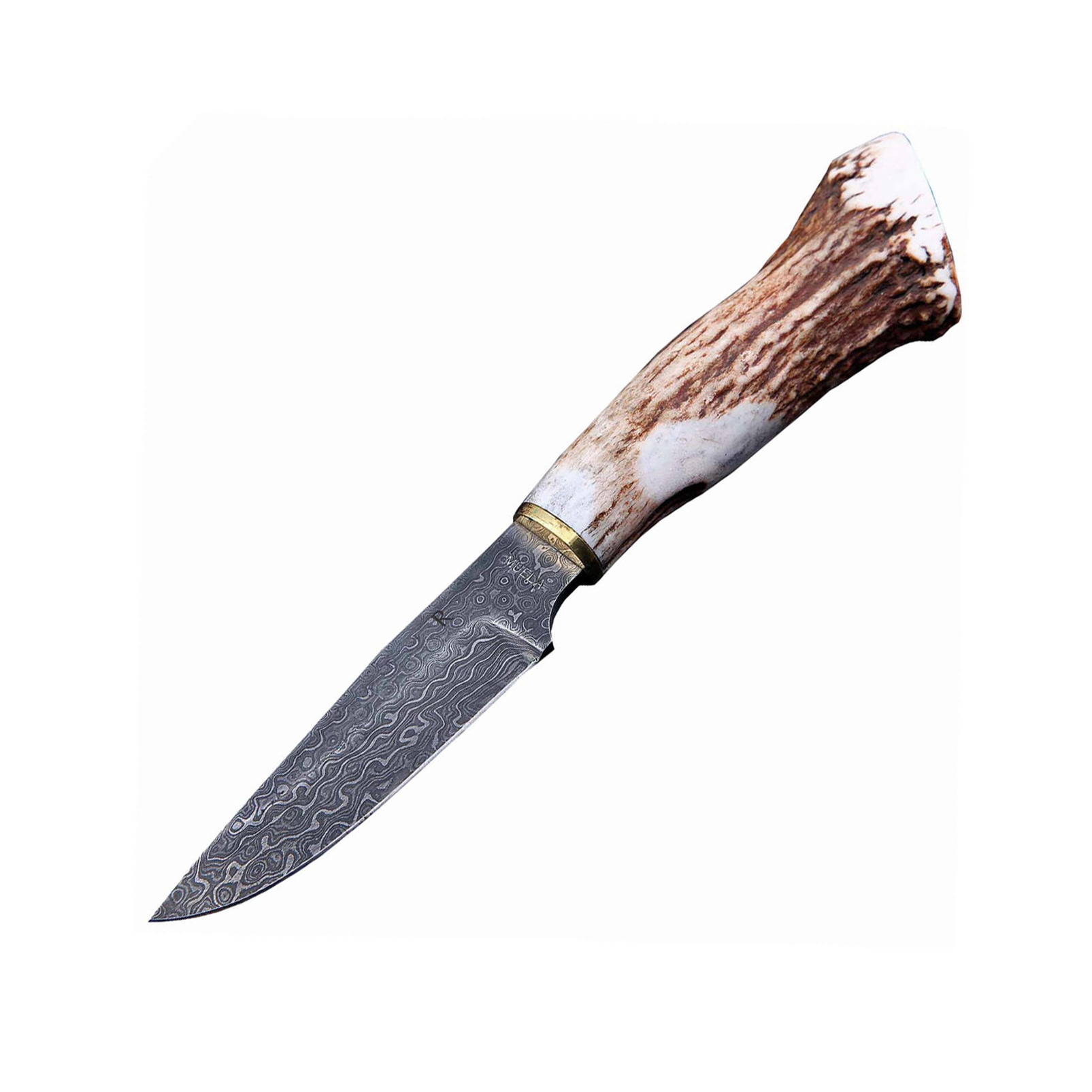 фото Нож с фиксированным клинком muela, сталь дамасская, рукоять олений рог, коричневый