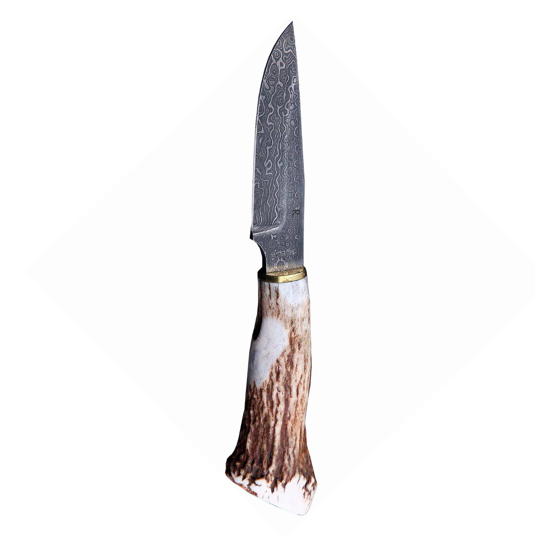фото Нож с фиксированным клинком muela, сталь дамасская, рукоять олений рог, коричневый