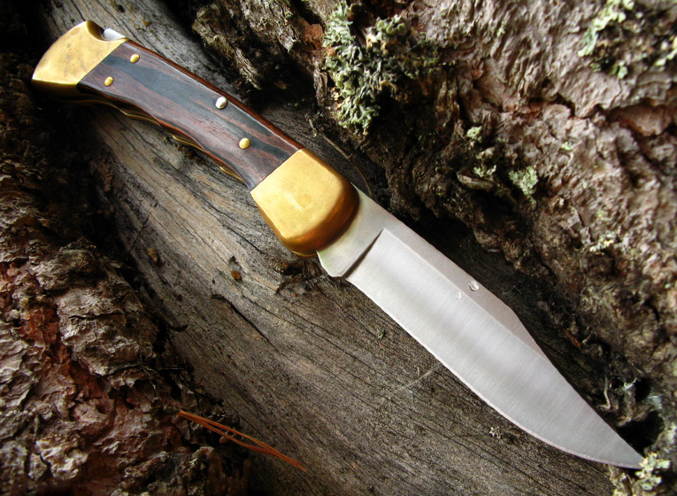 Складной нож Buck Folding Hunter с выемками 0110BRSFG, сталь 420НС, рукоять дерево - фото 2