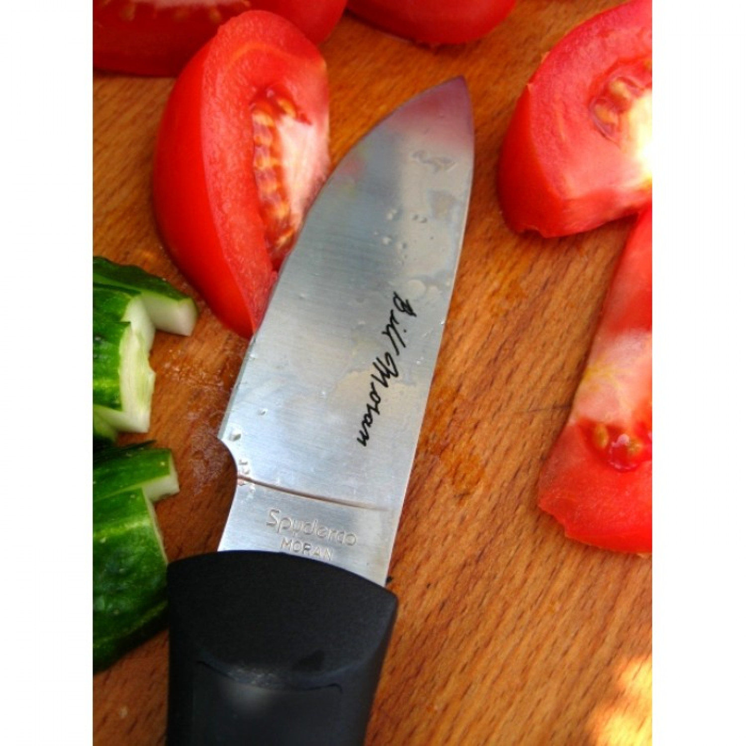 фото Нож с фиксированным клинком bill moran™ spyderco fb02p, сталь vg-10 satin plain, рукоять термопластик frn/кратон, чёрный