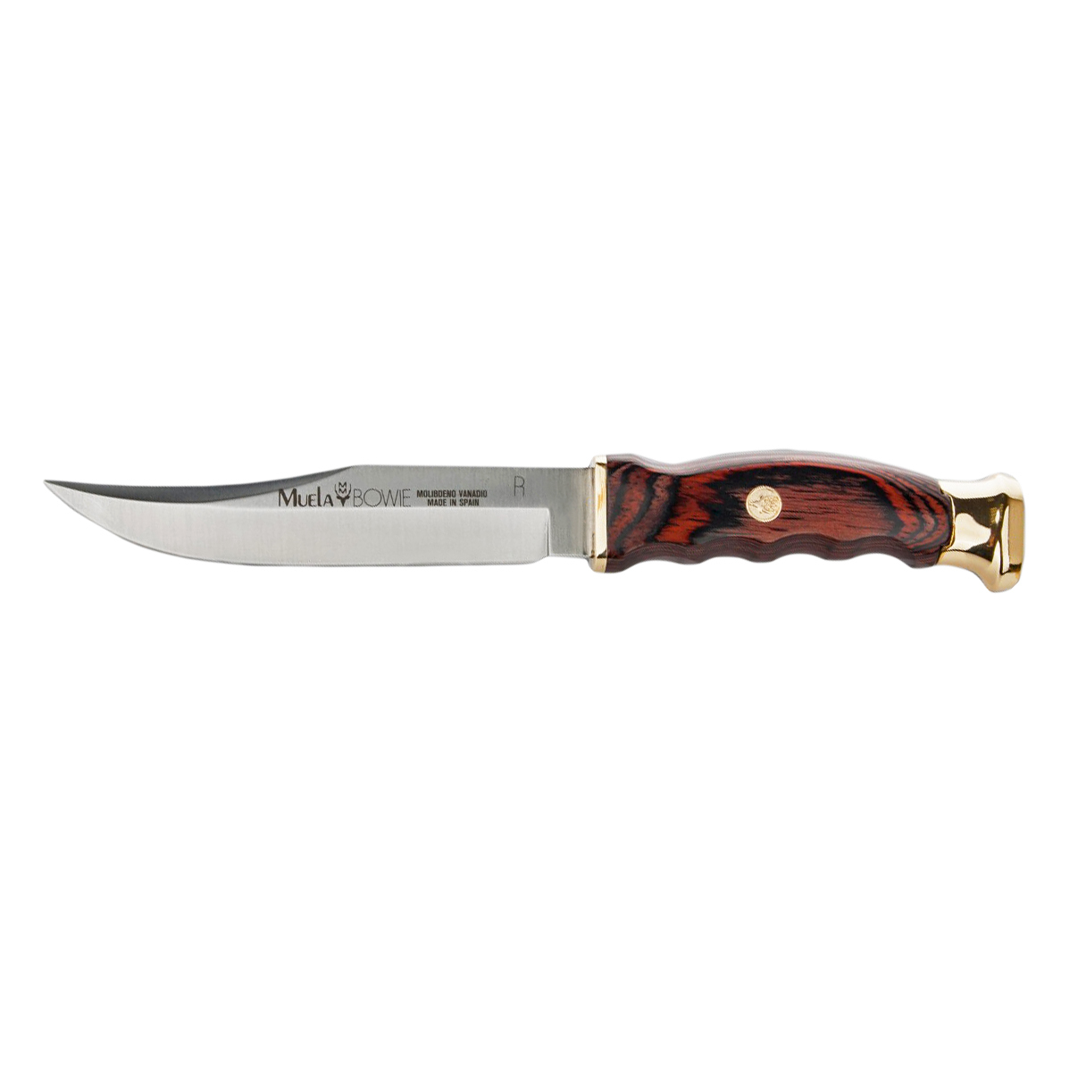 фото Нож с фиксированным клинком muela bowie, сталь x50crmov15, рукоять pakka wood