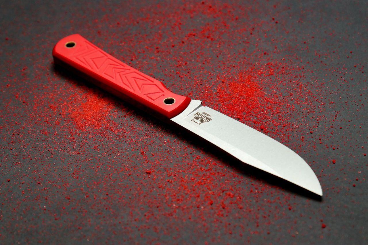 Нож Аракул, сталь N690, рукоять G10 красная - фото 5