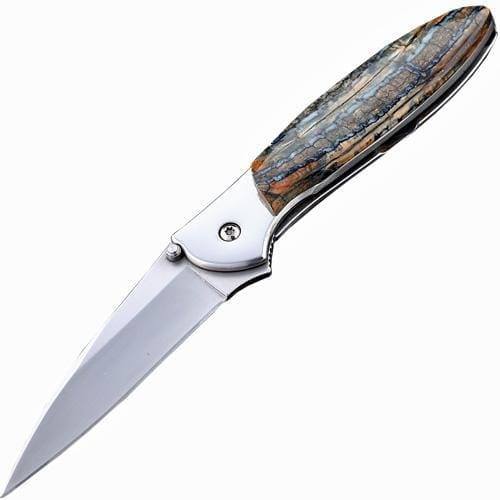 Полуавтоматический складной нож Santa Fe Kershaw Leek, сталь 14C28N, рукоять сталь с накладкой из зуба мамонта