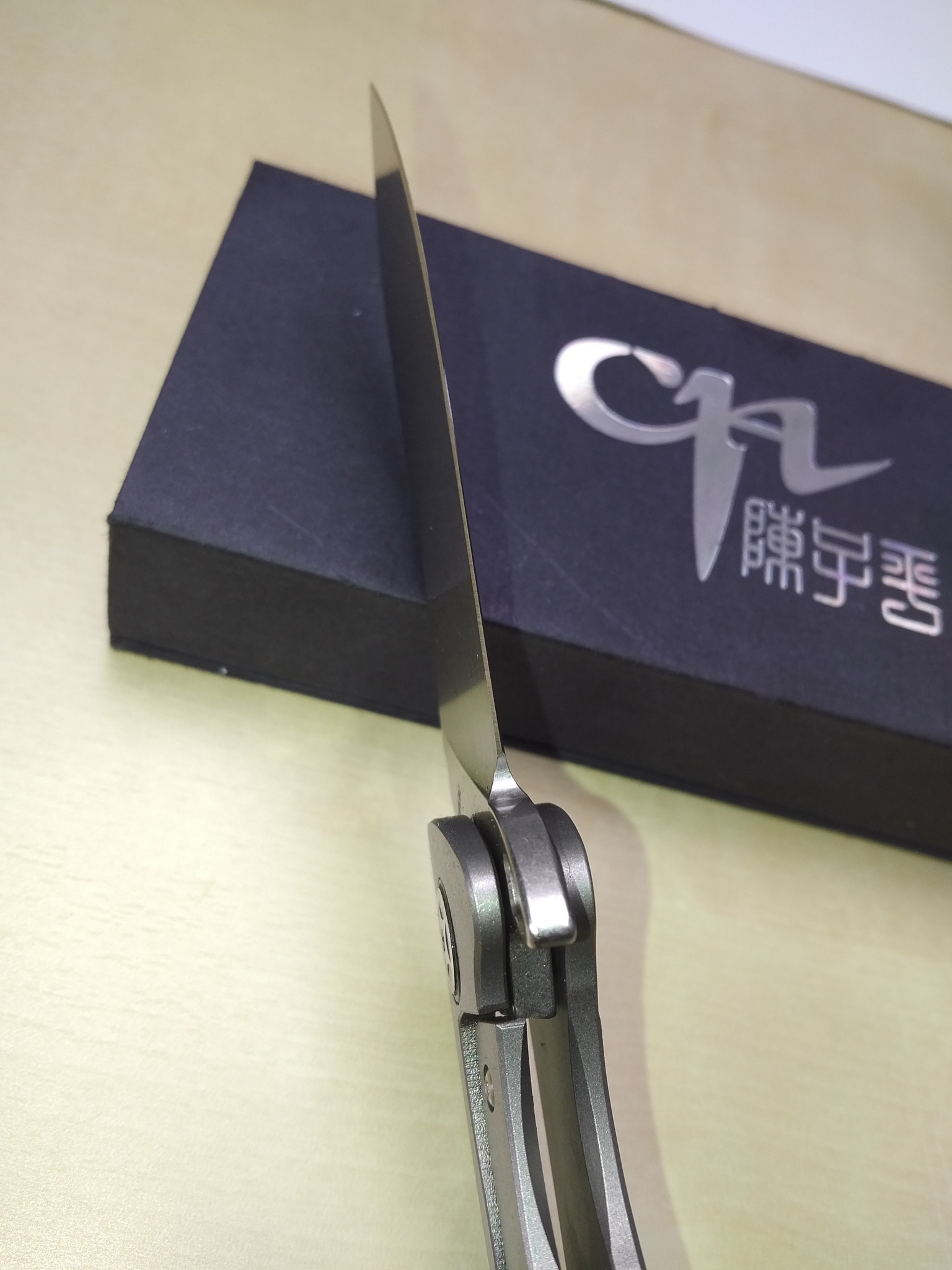 Складной нож CH3504 Limited Edition , сталь S35VN, Серый Череп - фото 6