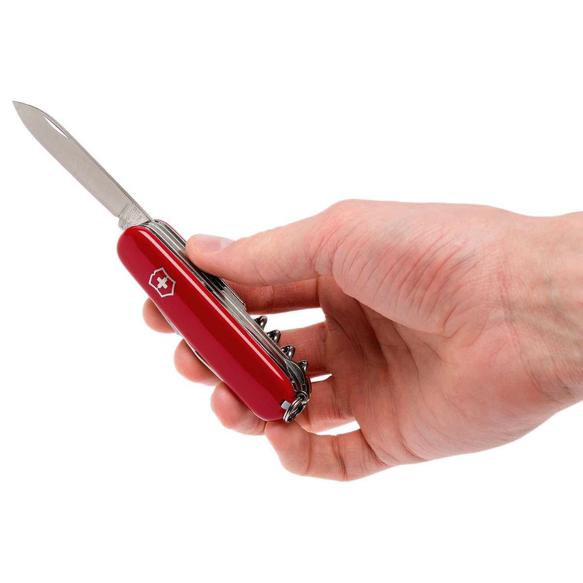 Нож перочинный Victorinox Explorer, сталь X55CrMo14, рукоять Cellidor®, красный - фото 6