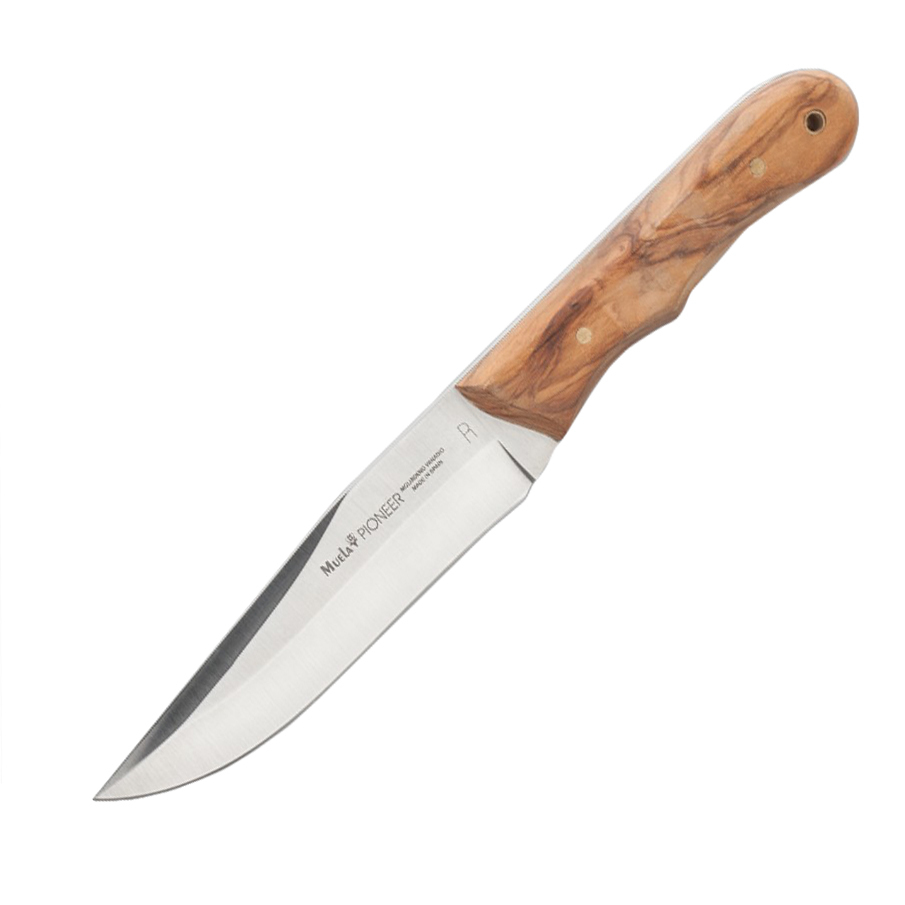 фото Нож с фиксированным клинком muela pioneer, сталь x50crmov15, рукоять оливковое дерево