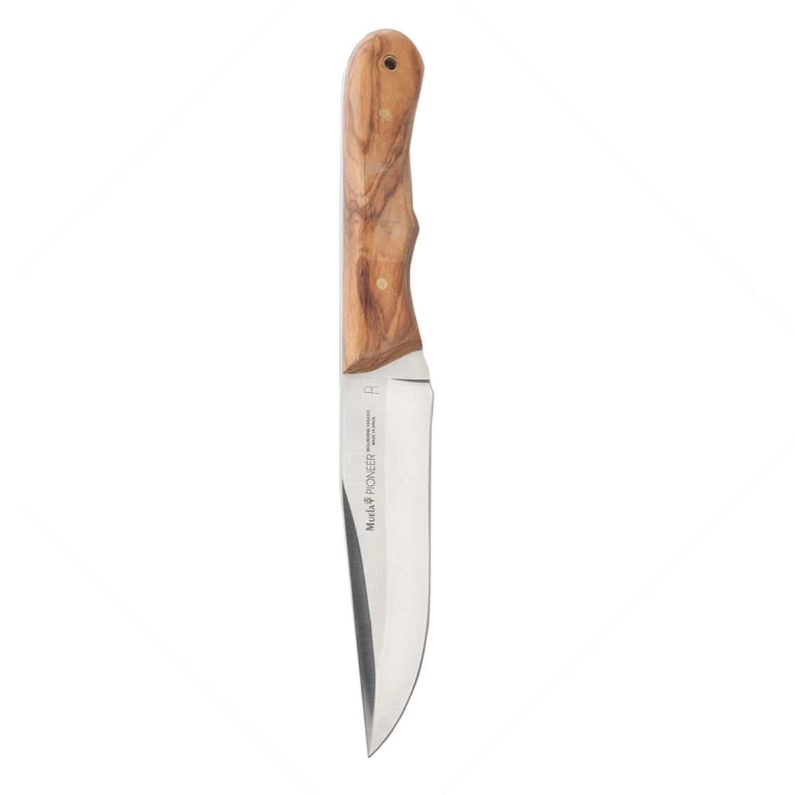 фото Нож с фиксированным клинком muela pioneer, сталь x50crmov15, рукоять оливковое дерево