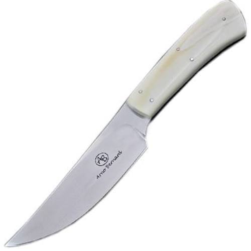 Нож с фиксированным клинком Arno Bernard Springbok, сталь N690, рукоять клык бородавочника