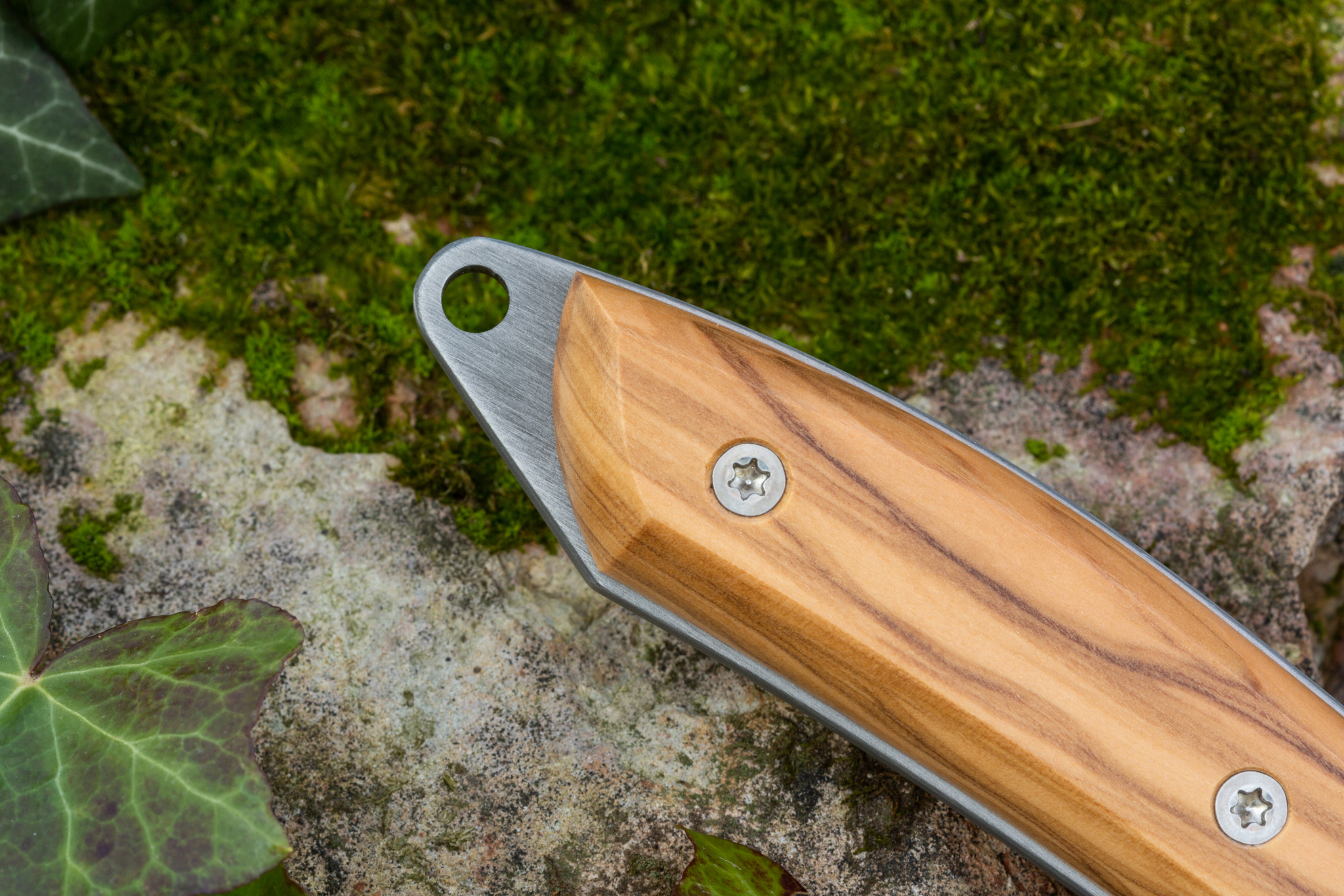 Нож с фиксированным клинком Mercury Old Chap, сталь 440C, оливковое дерево - фото 4