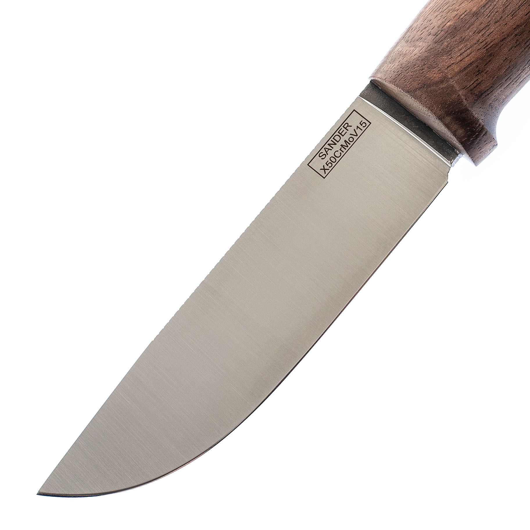Нож Шмель, сталь X50CrMoV15, орех - фото 2