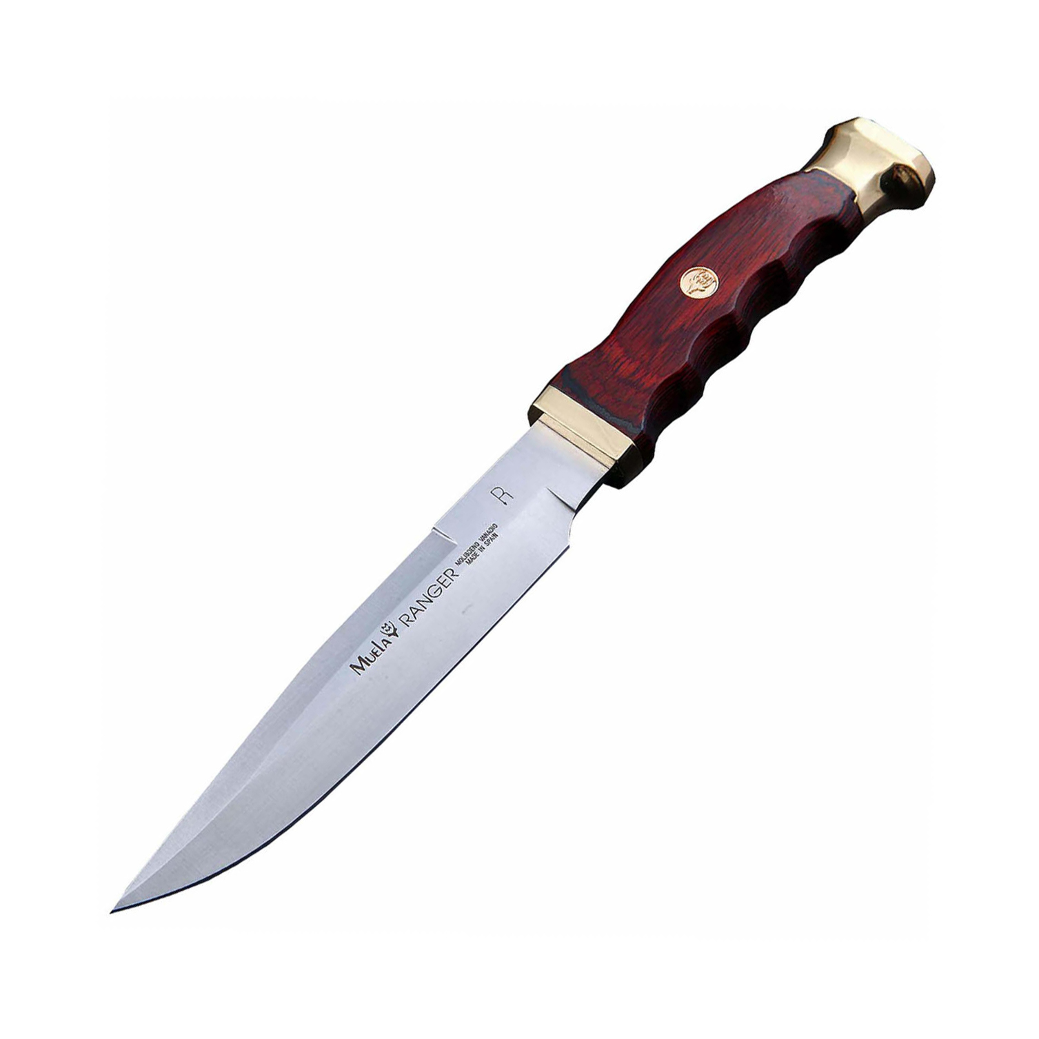 фото Нож с фиксированным клинком muela ranger, сталь x50crmov15, рукоять pakka wood