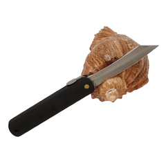 Фото Складной нож Nagao Higonokami Natural wood, 80мм, сталь VG10, рукоять Persimmon wood