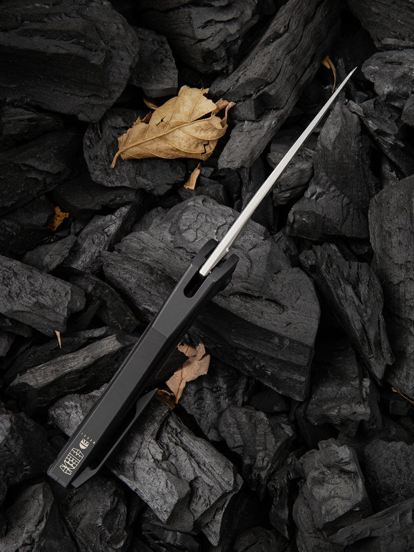 Складной нож WE Knife ternA (Aeterna), M390 от Ножиков