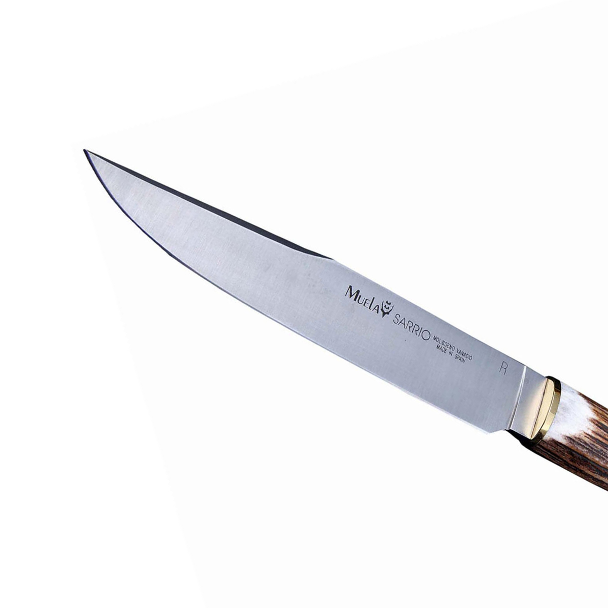 фото Нож с фиксированным клинком muela sarrio, сталь x50crmov15, рукоять резной олений рог