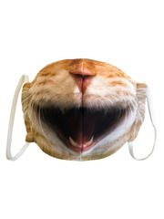 Фото Маска тканевая Дерзкий кот