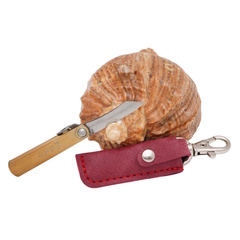 Фото Складной нож Nagao Higonokami Mame Miniature, 40мм, сталь SK-5, рукоять латунь, красный чехол