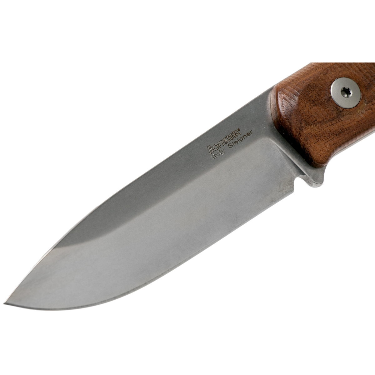 фото Фиксированный нож lionsteel b41 rose wood, сталь sleipner, рукоять дерево lion steel