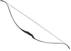 Фото Лук традиционный Rolan Snake 60