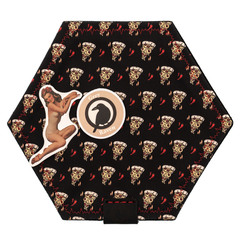 Фото Хэнк Grey Raven 