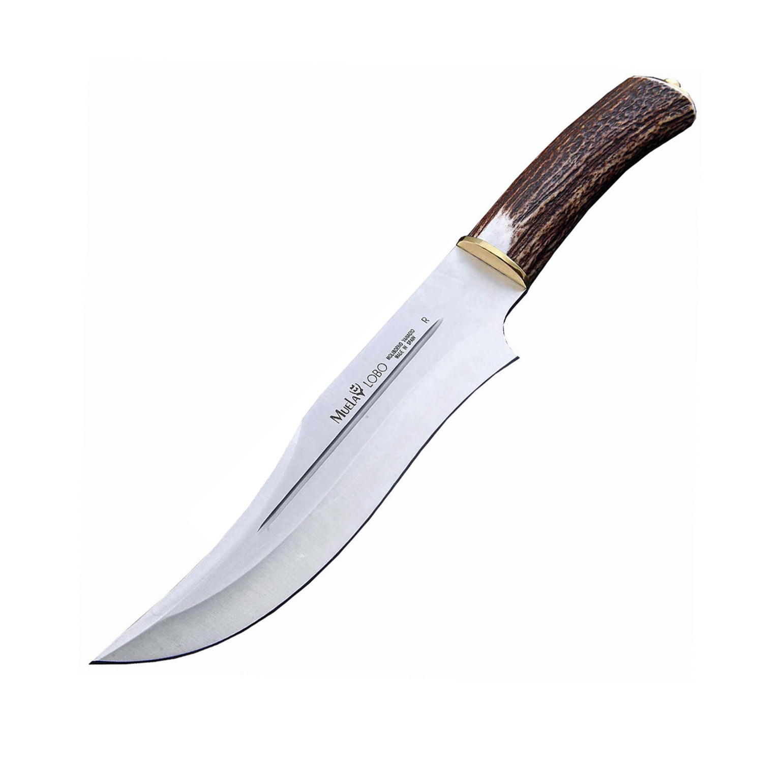 Нож с фиксированным клинком Muela Lobo, сталь X50CrMoV15, рукоять олений рог