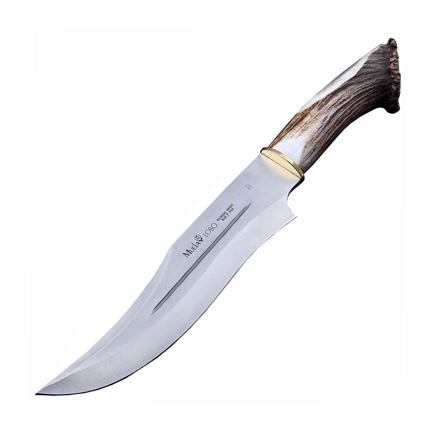 фото Нож с фиксированным клинком muela lobo, сталь x50crmov15, рукоять резной олений рог