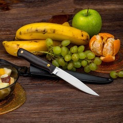 Фото Нож разделочный АиР 