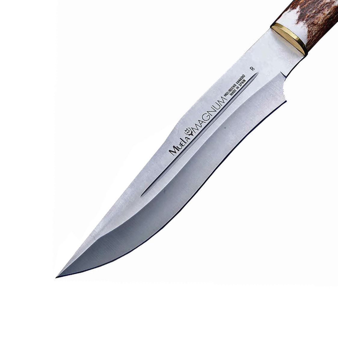 фото Нож с фиксированным клинком muela magnum, сталь x50crmov15, рукоять резной олений рог