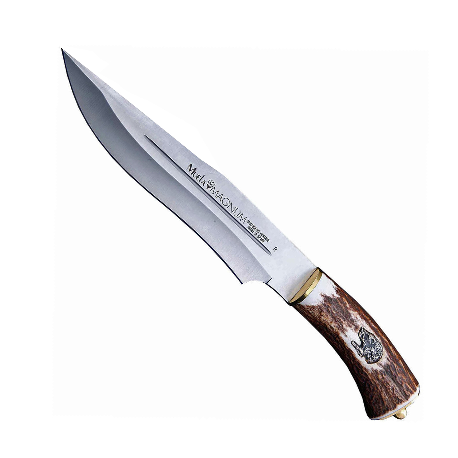 фото Нож с фиксированным клинком muela magnum, сталь x50crmov15, рукоять резной олений рог
