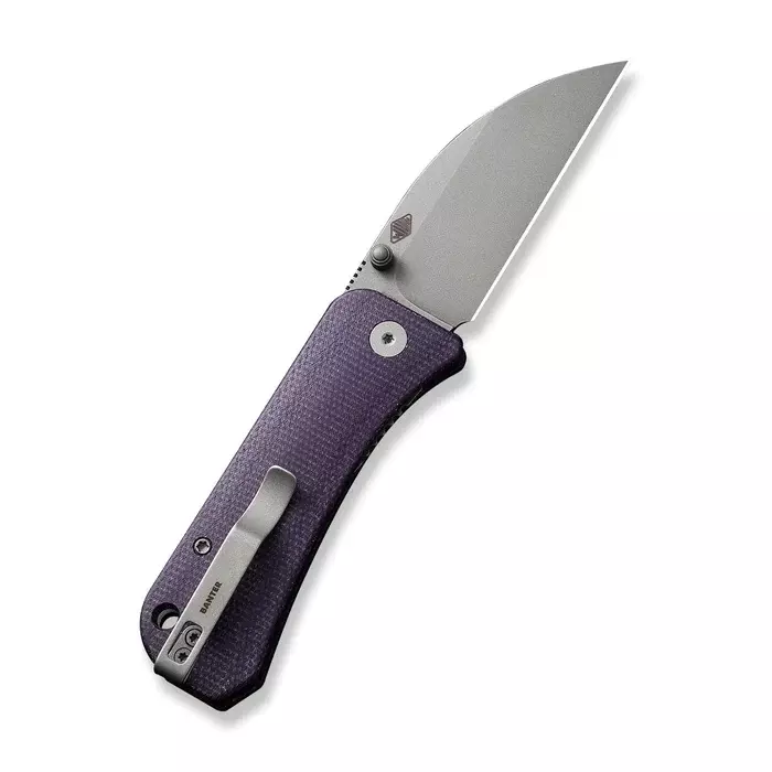 Складной нож WE Knife Banter Wharncliffe, сталь CPM S35VN, рукоять микарта - фото 3