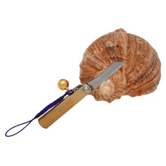 Фото Складной нож Nagao Higonokami Mame Miniature, 40мм, сталь SK-5, рукоять латунь