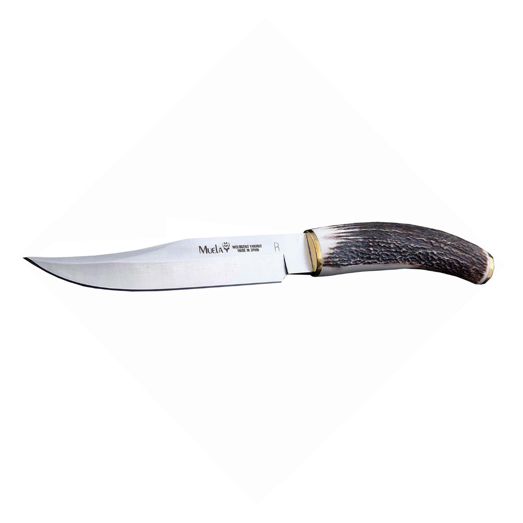 фото Нож с фиксированным клинком muela, сталь x50crmov15, рукоять резной олений рог